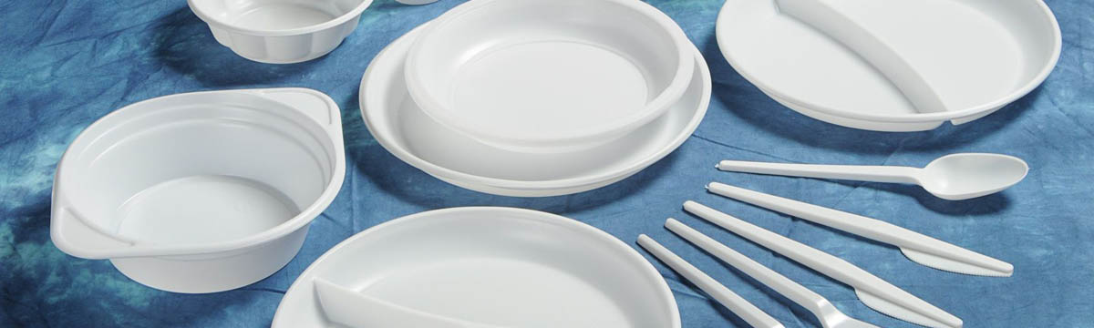 PAPER & DISPOSABLES, PLATES/PLATTERS, STYROFOAM PLATES